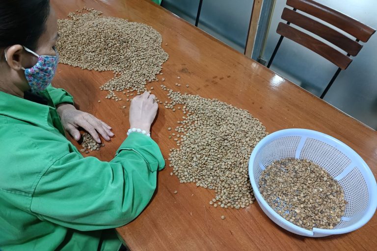 IMG_20240831_102106 edited